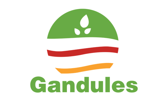 20200904_1807_IG4dC5axvF